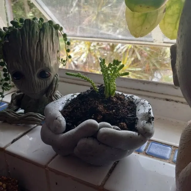 💖Hands Plant Pot