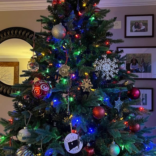 🎅Funny Christmas Ornament🎄