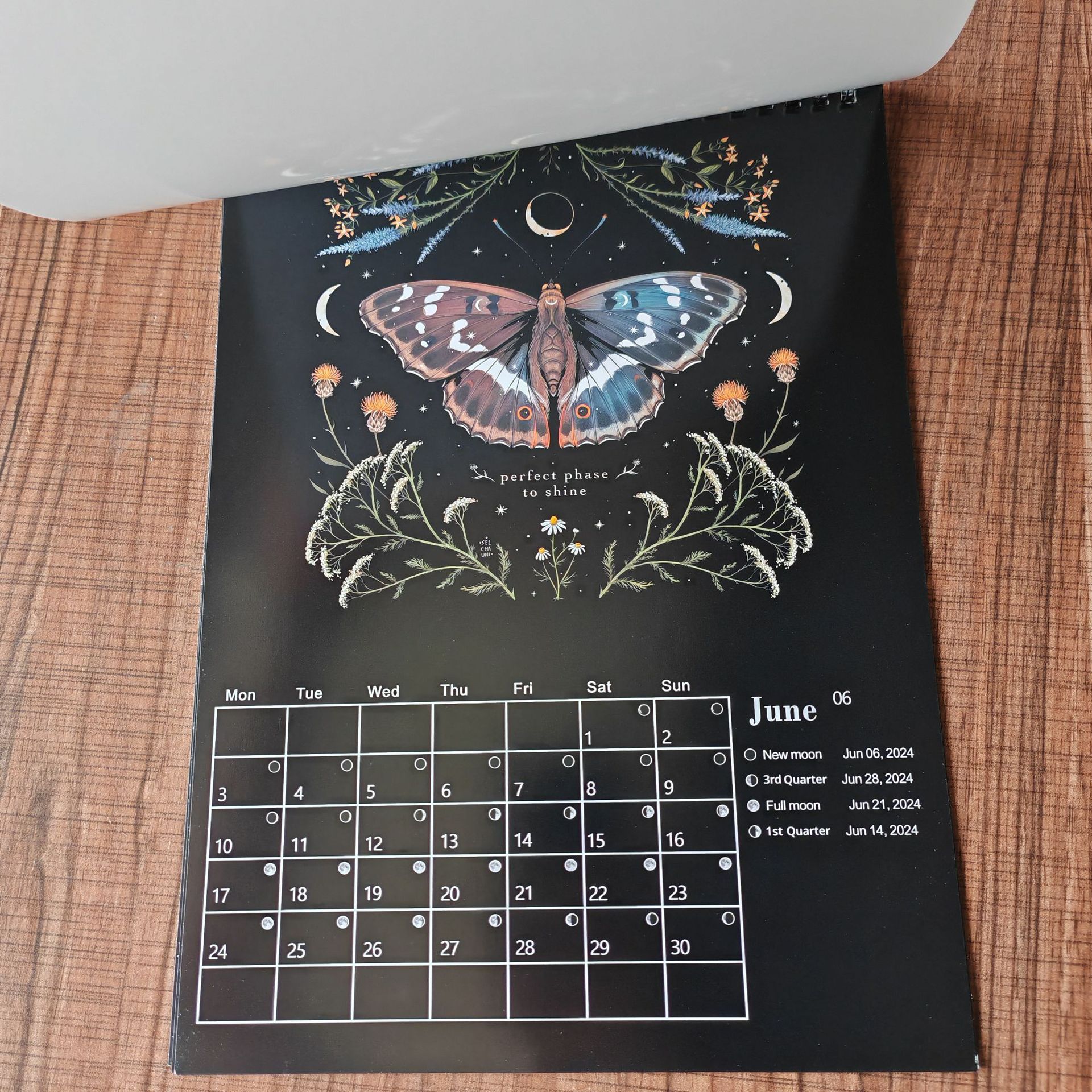🎅CHRISTMAS GIFT 🎁2024 Dark Forest Lunar Calendar