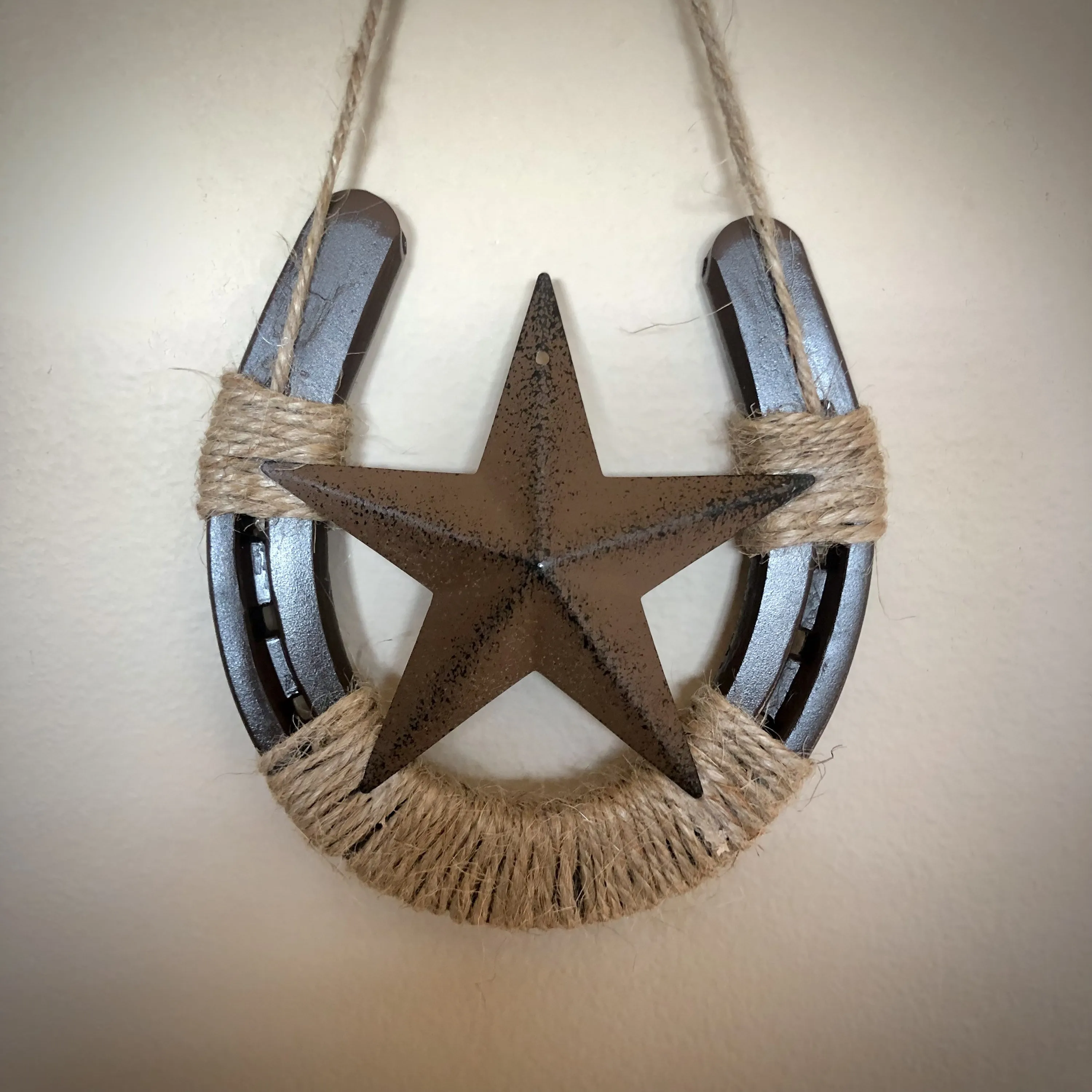 Horseshoe Wall Decor