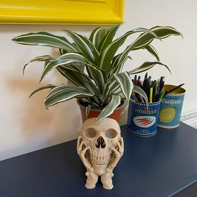😈💀Skull Horror Planter