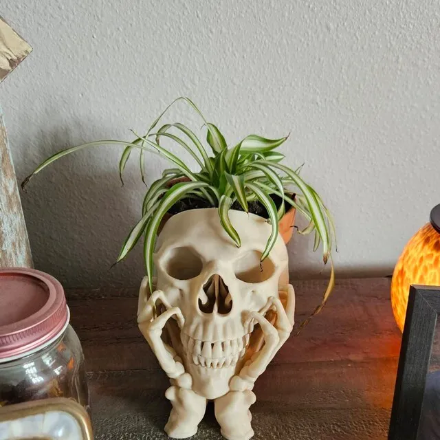 😈💀Skull Horror Planter