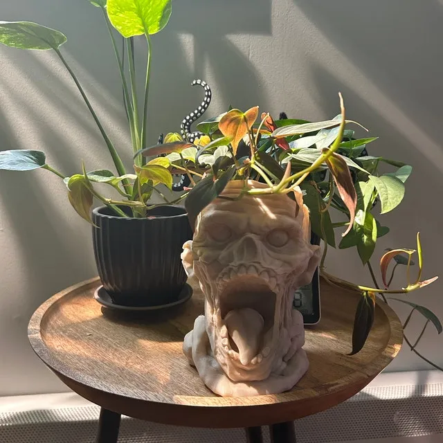 😈💀Skull Horror Planter