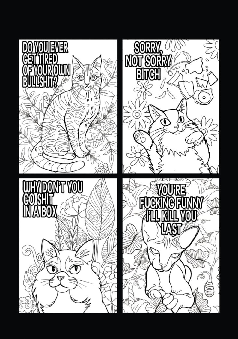 🎨Funny Kitty Memes Coloring Book For Adult Relaxation
