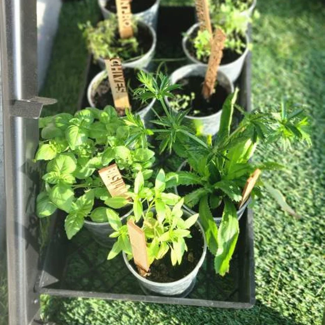 🌻Interesting Plant Markers - Christmas Gifts for Gardeners🎄