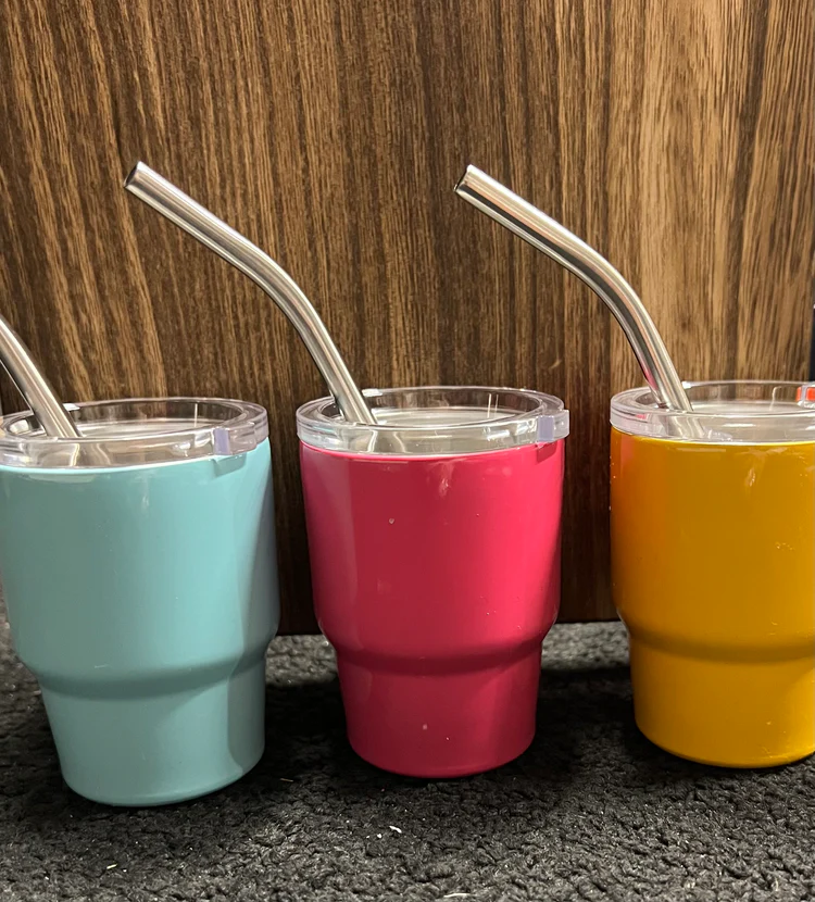 Mini Stainless Steel Tumbler with Straw