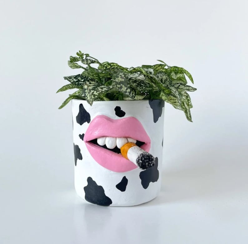 Quirky Weird Fun Planter and Pen Holder