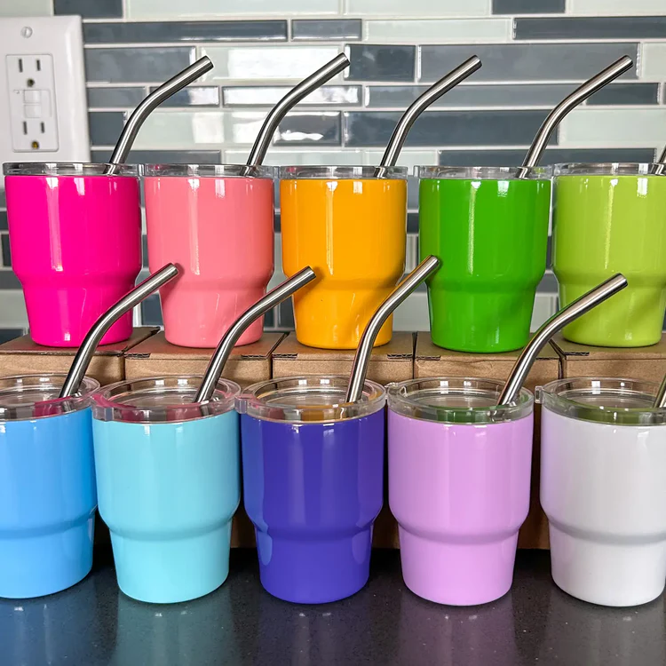 Mini Stainless Steel Tumbler with Straw