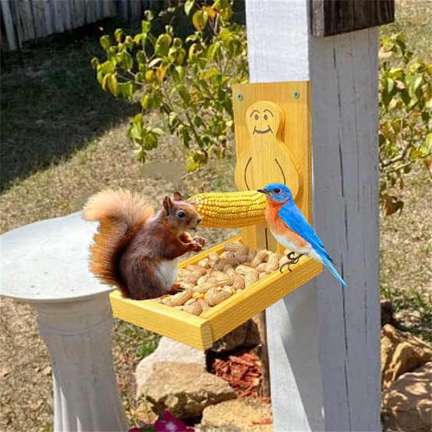 🔥2024 Spring Hot Sale - 🐿️Proud Man Squirrel Feeder