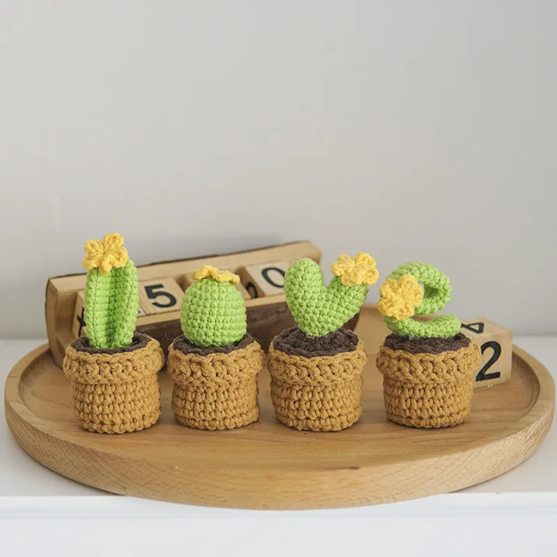 🌼Knitted Love Cactus Pot