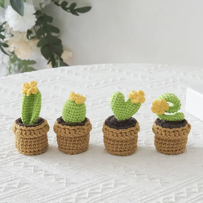 🌼Knitted Love Cactus Pot