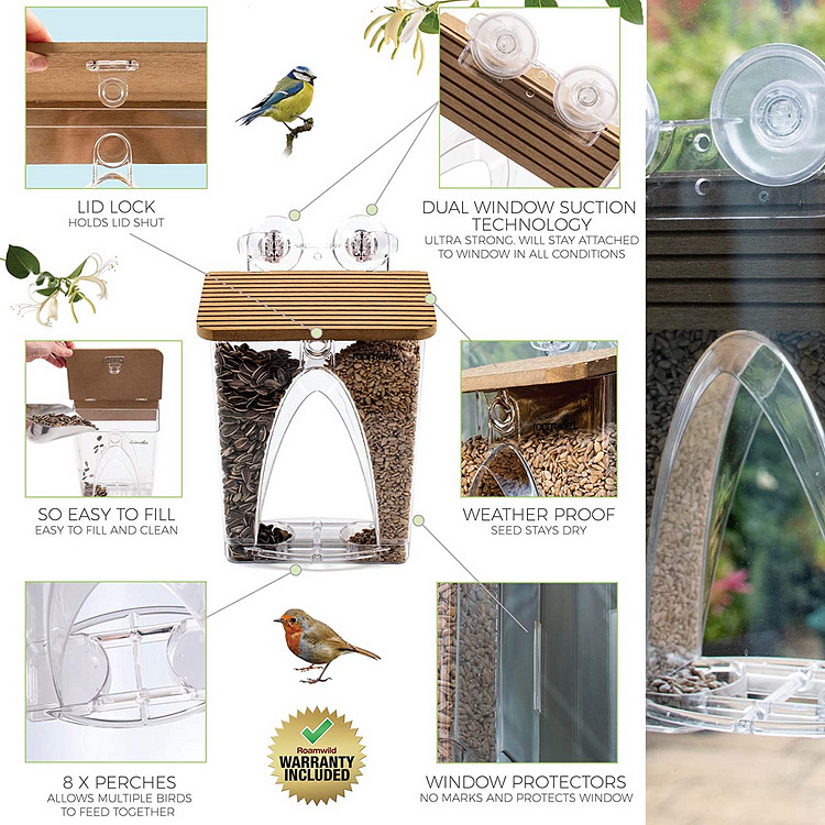 🐦 Limited Time Sale 49% OFF 💝 Arch Window Bird Feeder 🏠