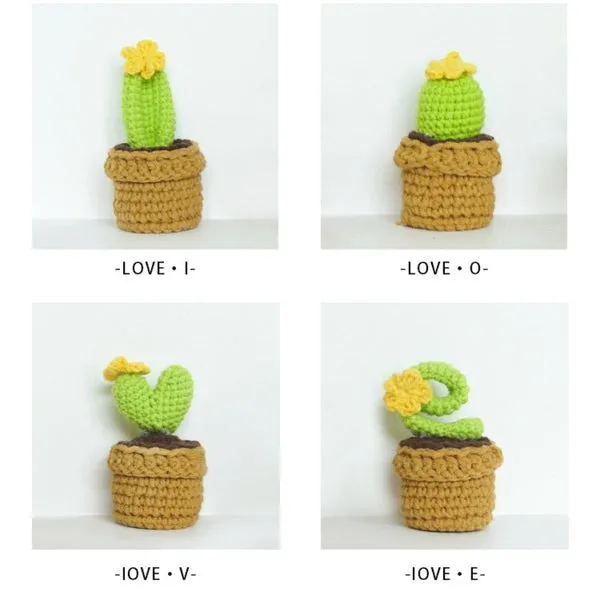 🌼Knitted Love Cactus Pot