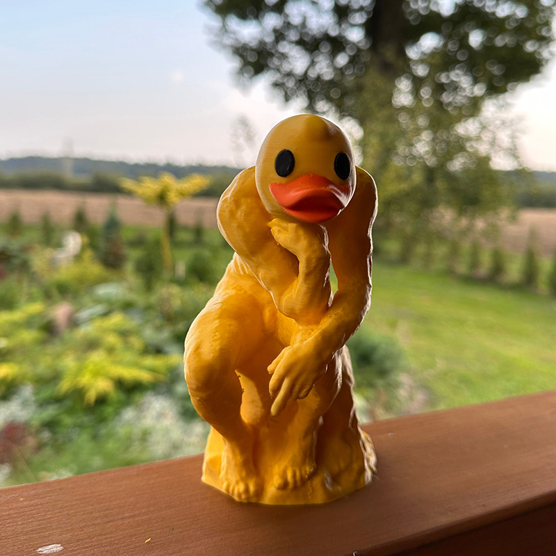 ✨New Funny Thinker Middle Finger Duck🖕🎁