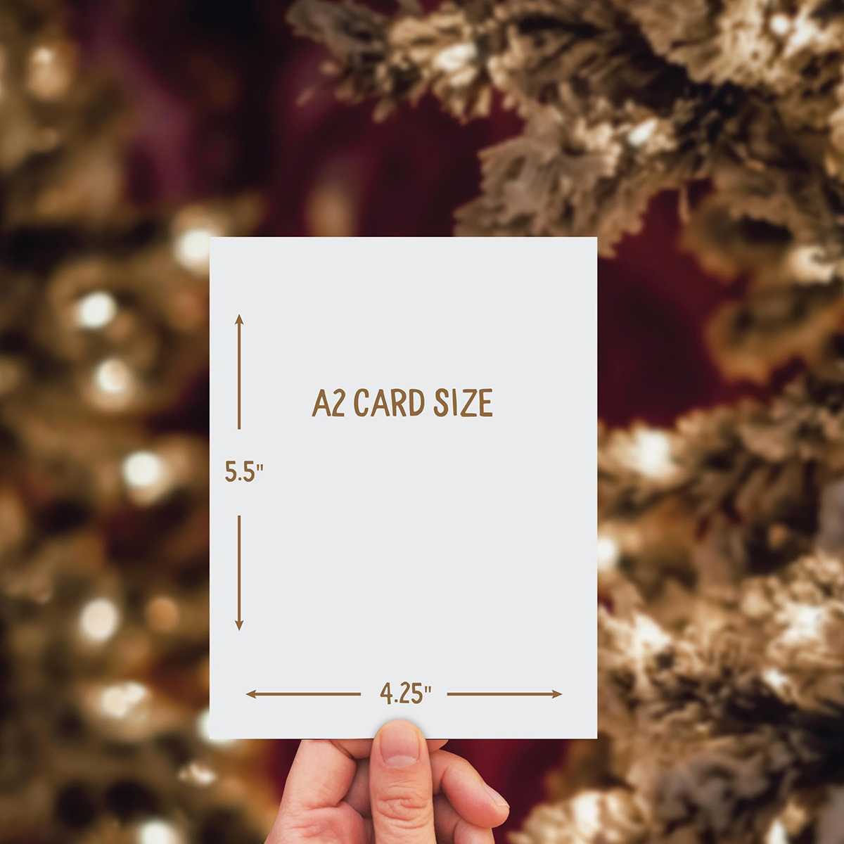 Funny Greeting Card Set