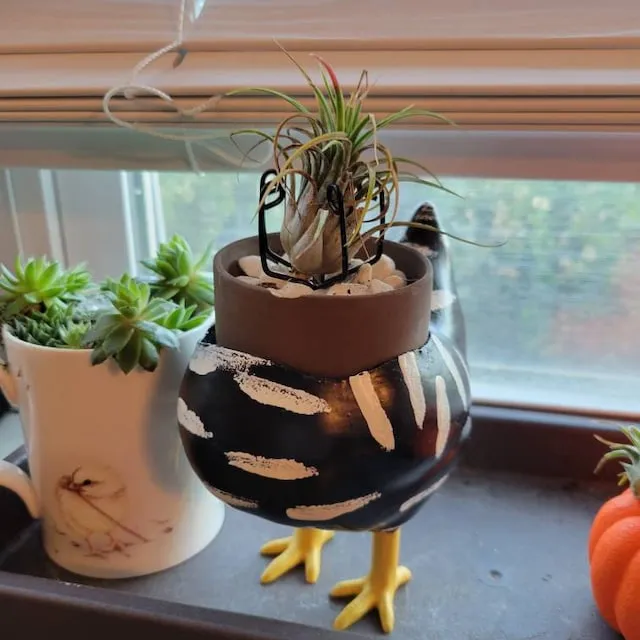 🐥Handmade Chicken Butt Planter🐥
