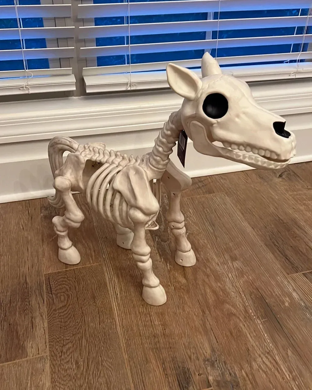 🐮Cow & Horse Skeleton Halloween Decorative Prop💀