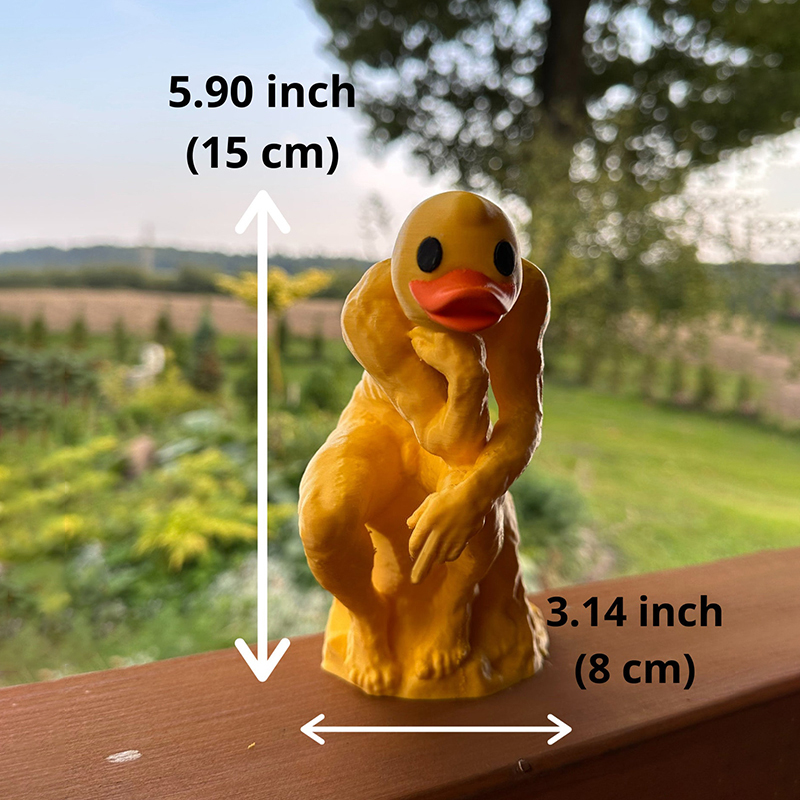 ✨New Funny Thinker Middle Finger Duck🖕🎁