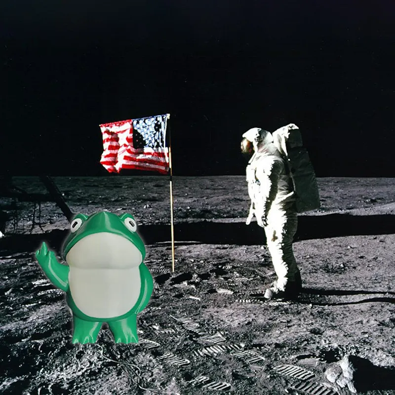 🐸Cheeky Middle Finger Frog😂