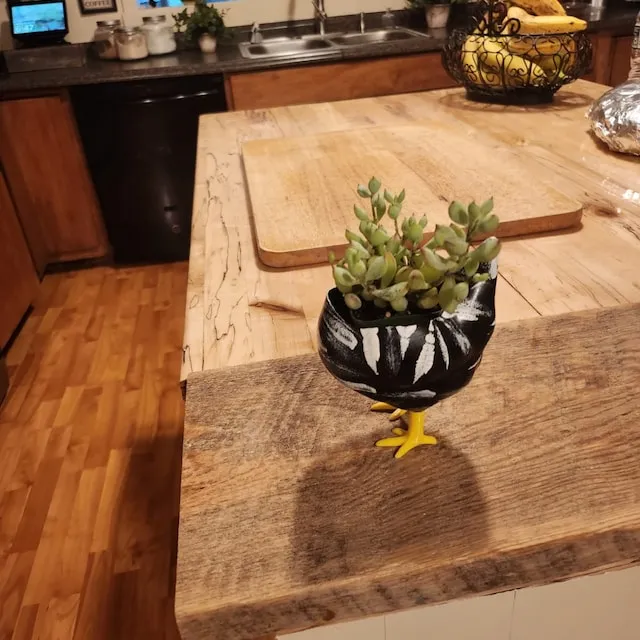 🐥Handmade Chicken Butt Planter🐥