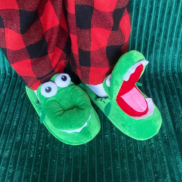 🐊 Creative Crocodile Slippers - Buy 2 Free Shipping
