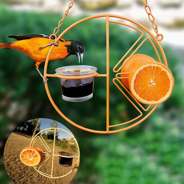 🦜2-in-1 Hanging Hummingbird Oriole Feeder