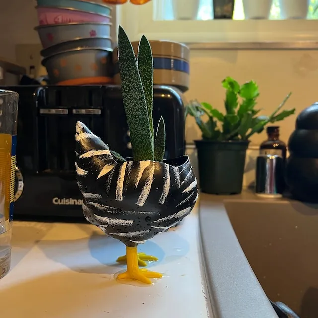 🐥Handmade Chicken Butt Planter🐥