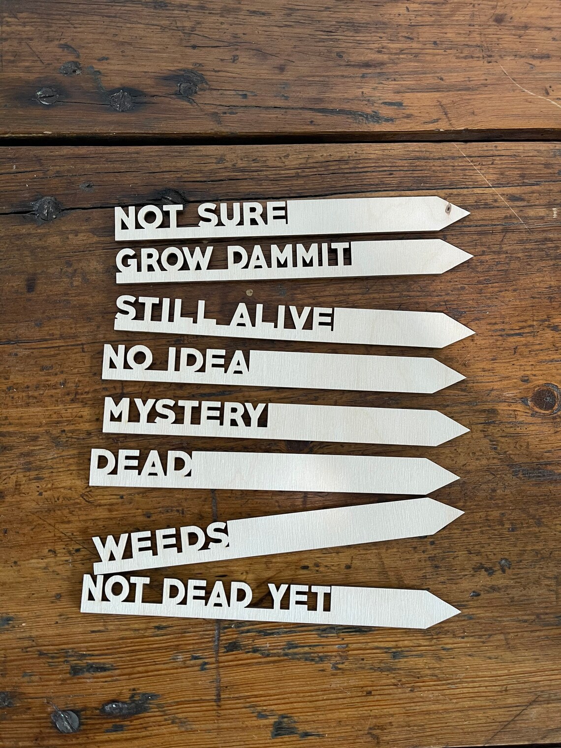 🌻Interesting Plant Markers - Christmas Gifts for Gardeners🎄