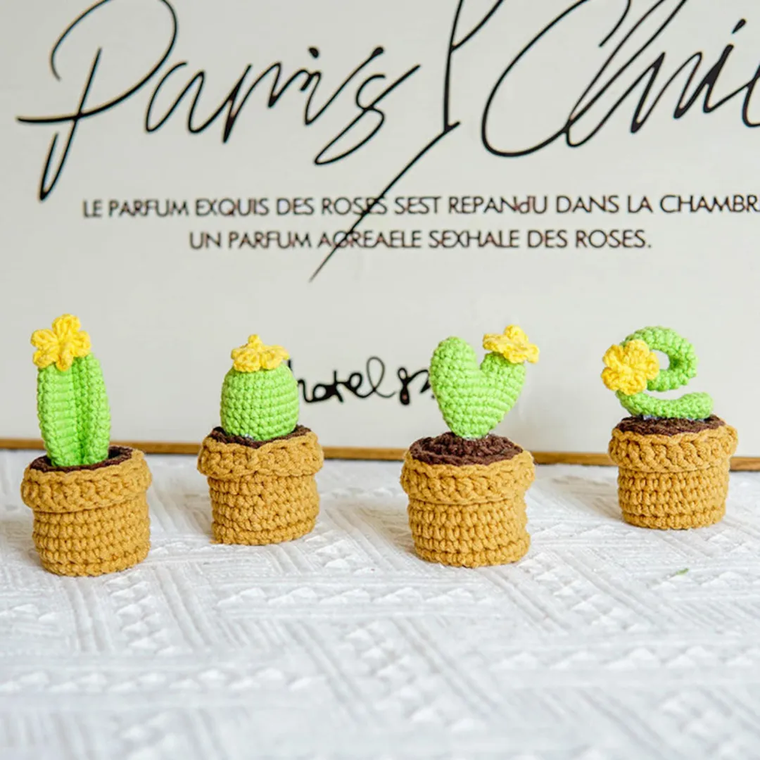 🌼Knitted Love Cactus Pot