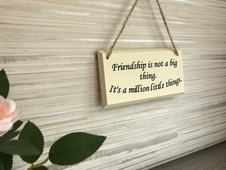 友谊一百万件小事最好的朋友礼物礼物图片 8