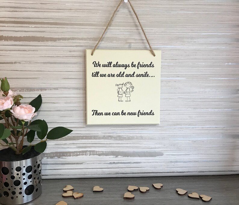 Funny Friend Wall Hanging