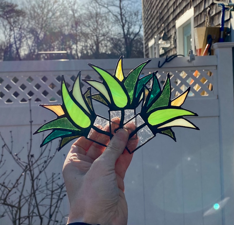 Miniature Stained Glass Agave Aloe JOY Potted PLANT ONLY