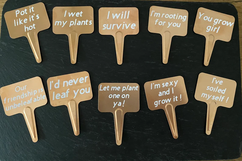 🌼Funny Plant Markers🌼