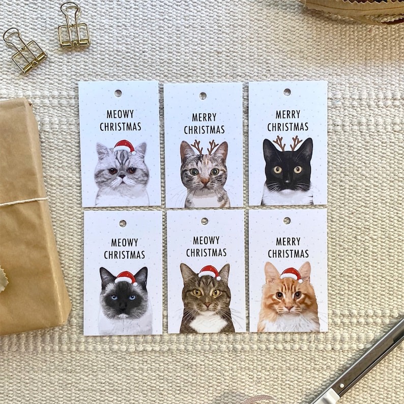 Cat Lover Merry Christmas Gift Tags Pack