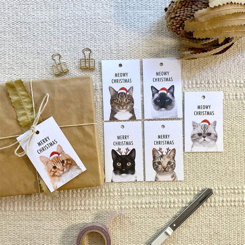 Cat Lover Merry Christmas Gift Tags Pack(A Set Of Ten Sheets)