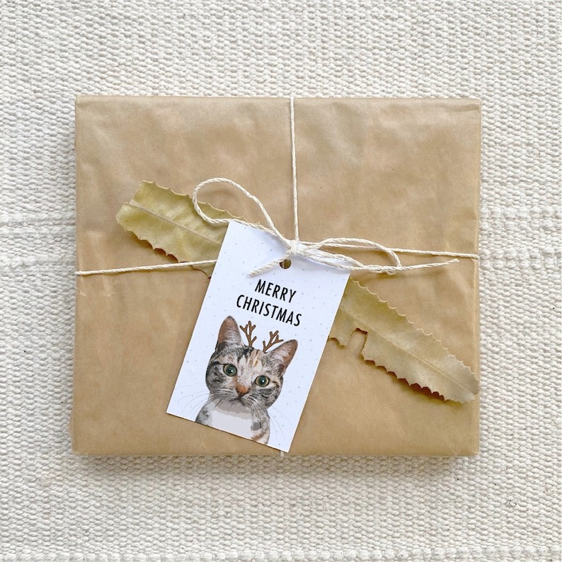 Cat Lover Merry Christmas Gift Tags Pack