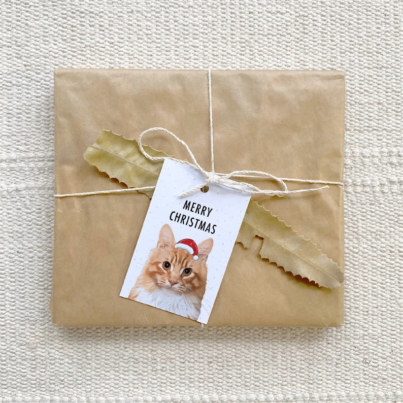 Cat Lover Merry Christmas Gift Tags Pack