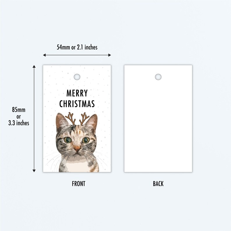 Cat Lover Merry Christmas Gift Tags Pack
