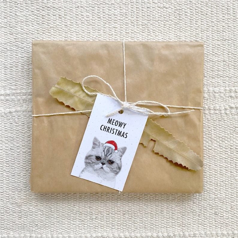 Cat Lover Merry Christmas Gift Tags Pack