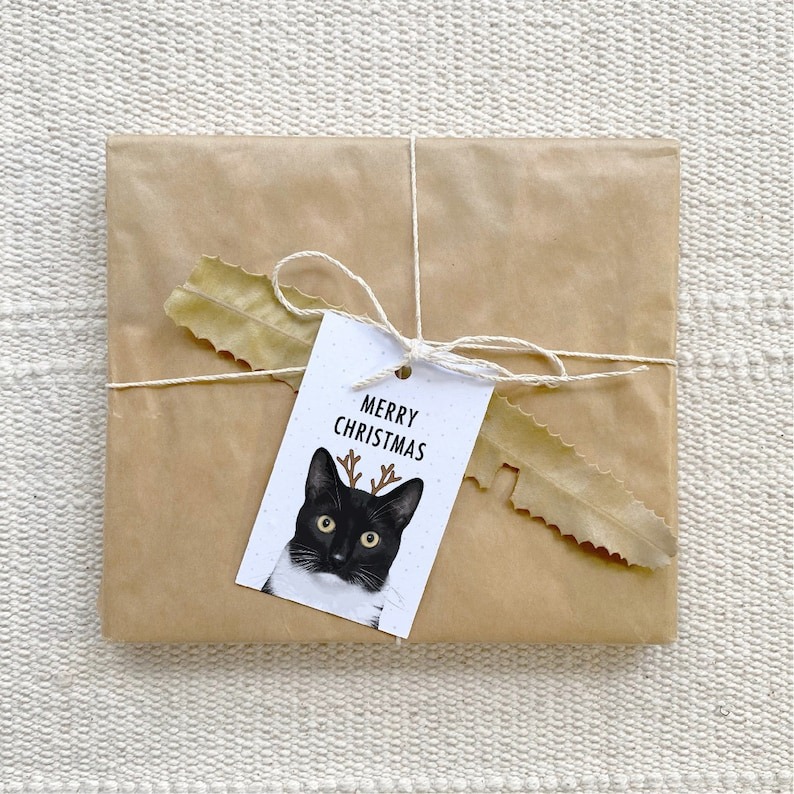 Cat Lover Merry Christmas Gift Tags Pack