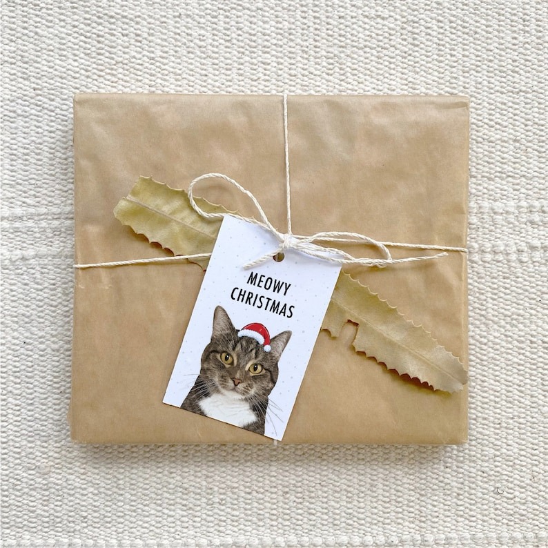 Cat Lover Merry Christmas Gift Tags Pack