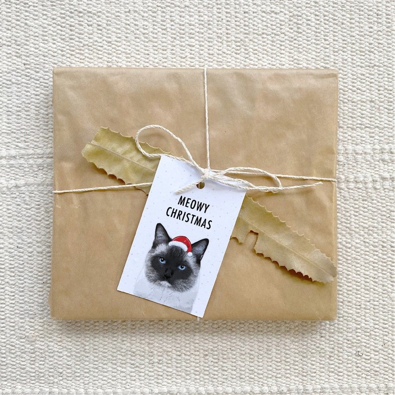 Cat Lover Merry Christmas Gift Tags Pack