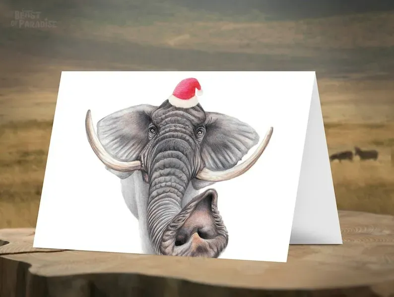 🦌Funny Wildlife Art Christmas Cards