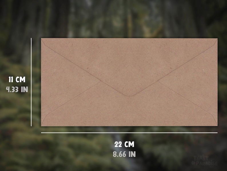 Christmas Gift - 🐦12 Cute Little Birdies Cards