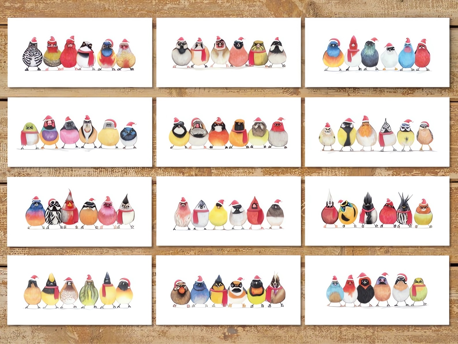 Christmas Gift - 🐦12 Cute Little Birdies Cards