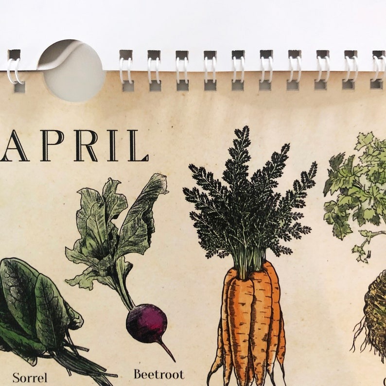 🍓Fruit and 🍆Vegetable Seasonal Calendar