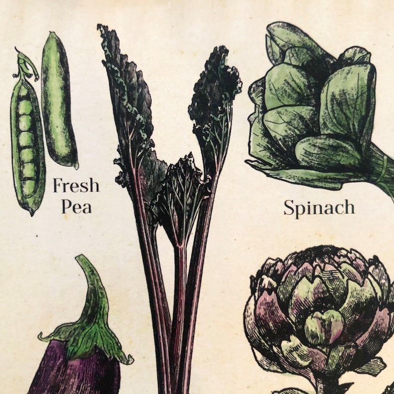 🍓Fruit and 🍆Vegetable Seasonal Calendar