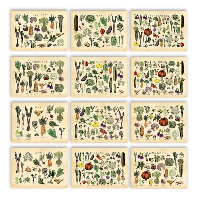 🍓Fruit and 🍆Vegetable Seasonal Calendar