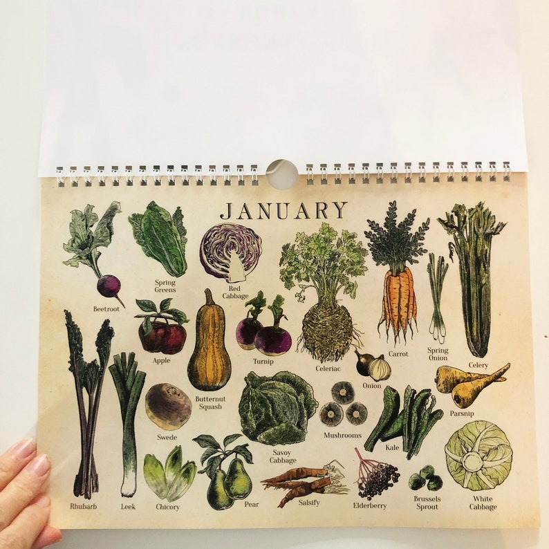 🍓Fruit and 🍆Vegetable Seasonal Calendar