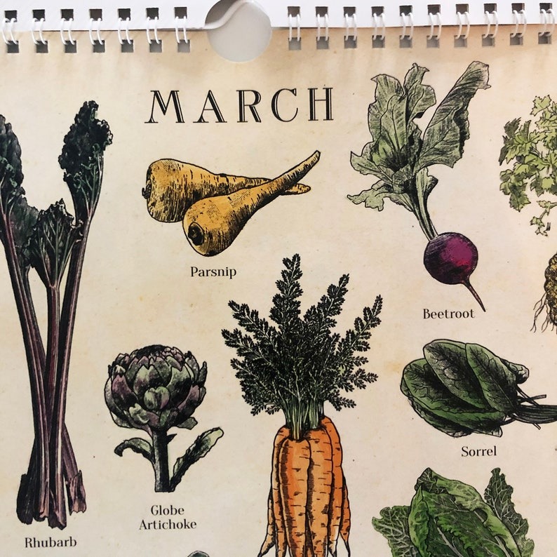 🍓Fruit and 🍆Vegetable Seasonal Calendar